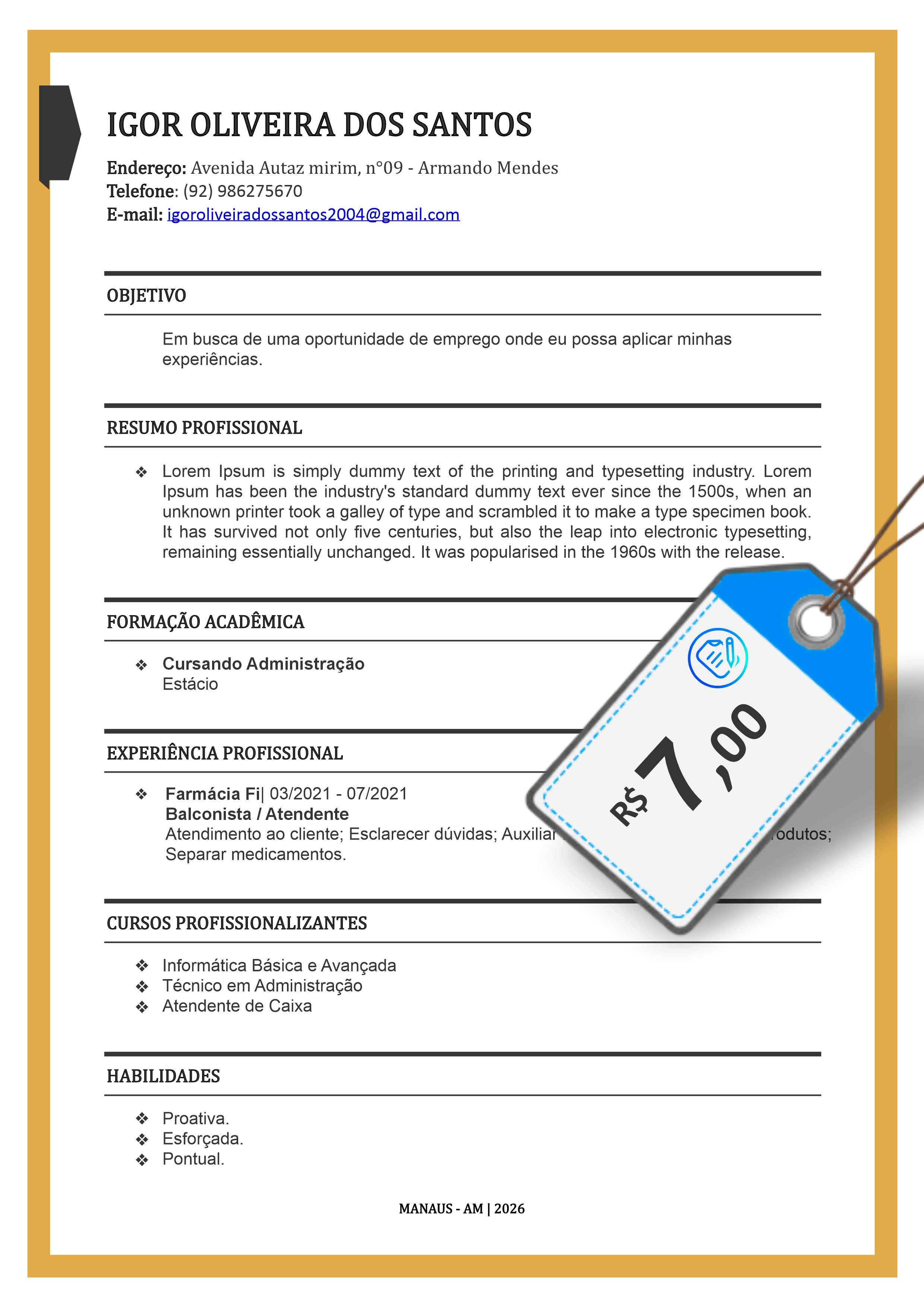 Modelo de currículo 12