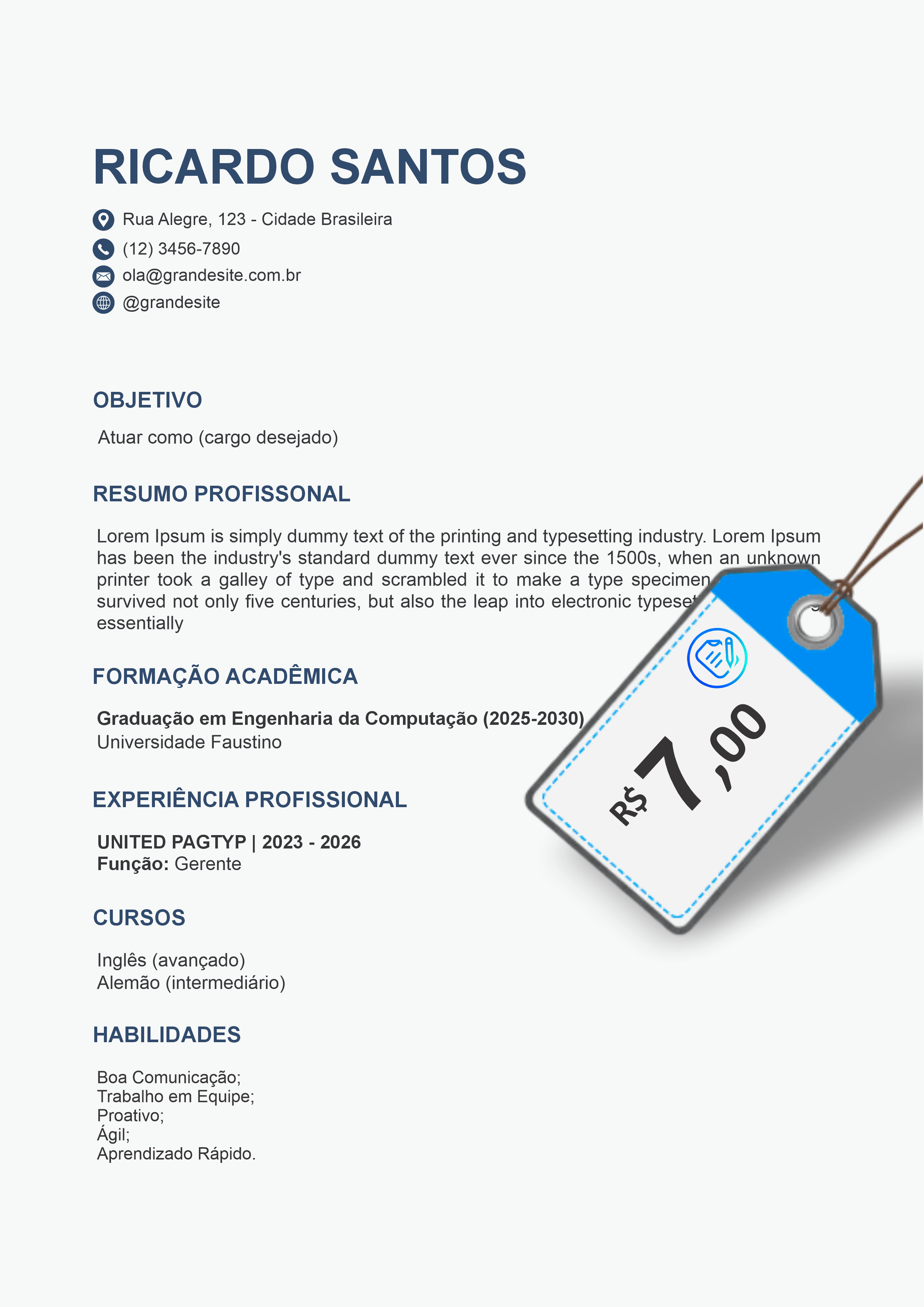 Modelo de currículo 14