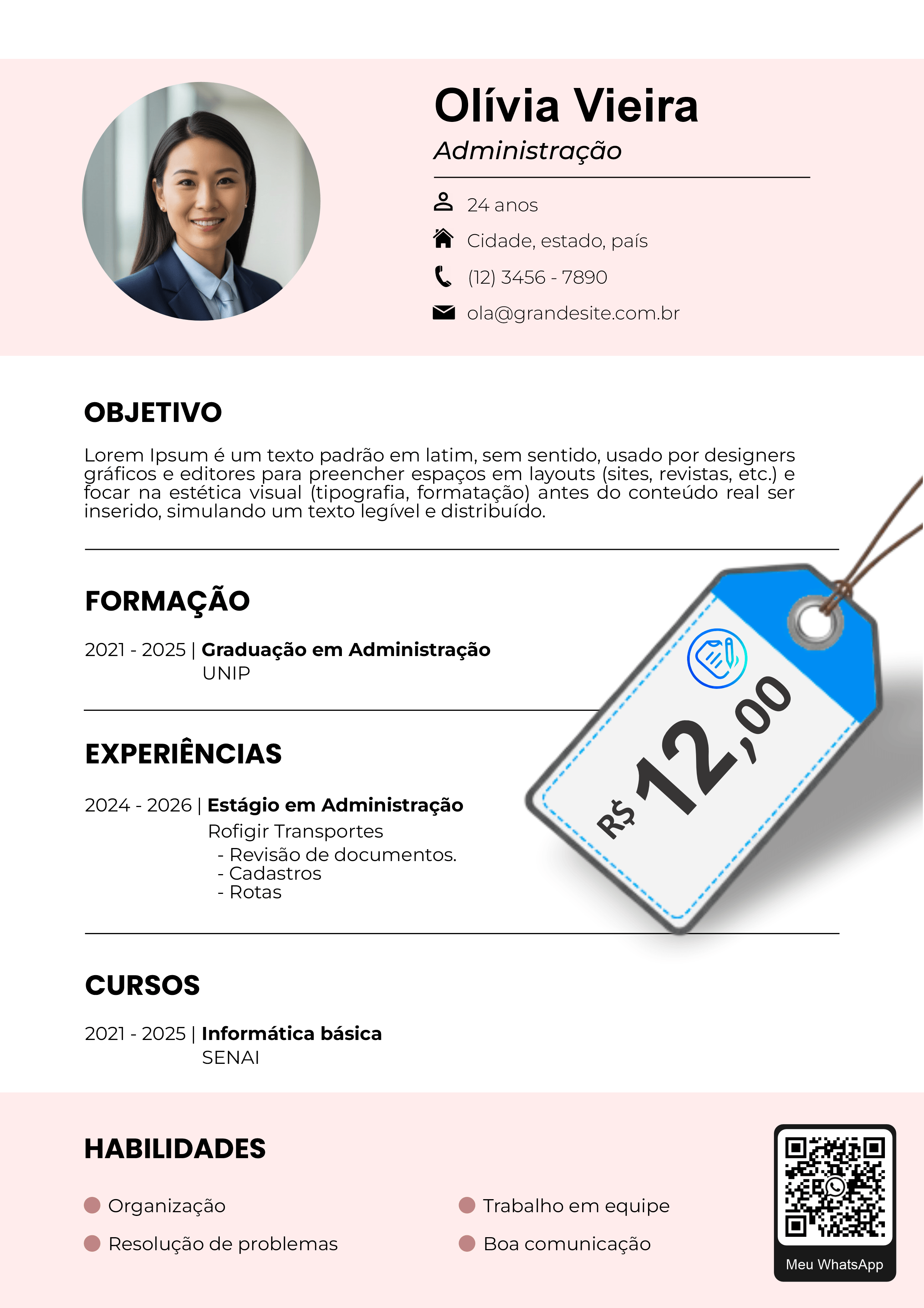 Modelo de currículo 17