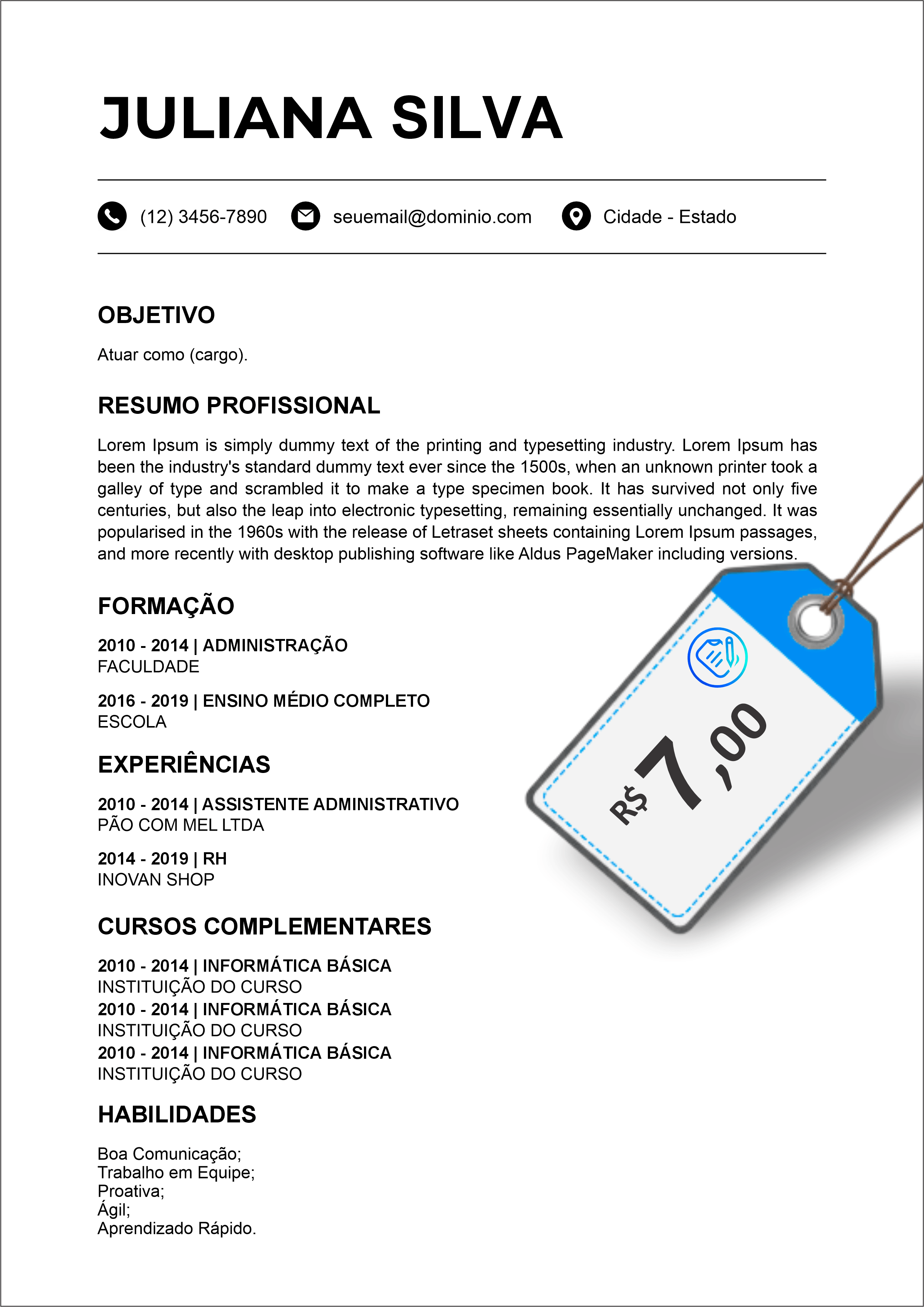 Modelo de currículo 4